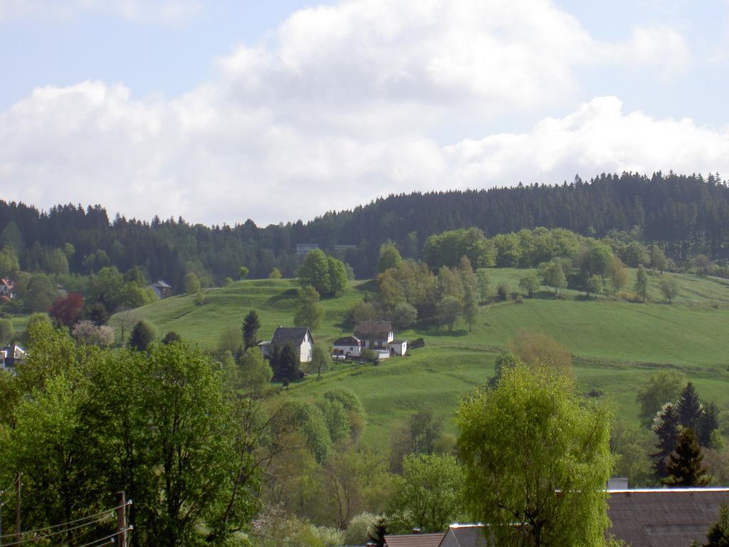 Gasthof 'Zum Reifberg' Ilmenau Pokój zdjęcie