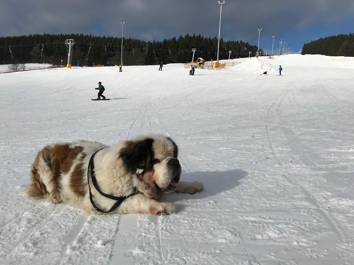 Gasthof 'Zum Reifberg' Ilmenau Zewnętrze zdjęcie